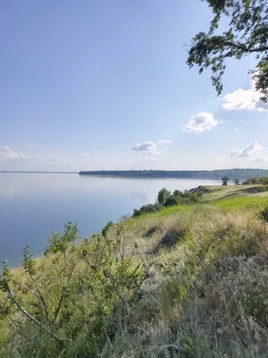 Берег Цимлянского водохранилища в станице Хорошевской