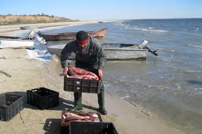 Цимлянское водохранилище в этом году может наполниться до максимальной  отметки