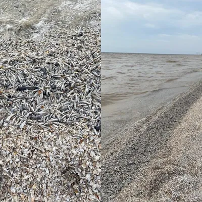 Южный берег Цимлянского водохранилища