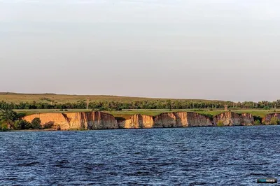 Отзыв о Отдых на Цимлянском водохранилище. (Россия, Ростовская область) |  Степень- неповторимая. Уникальная природа водоема, вино и не только!