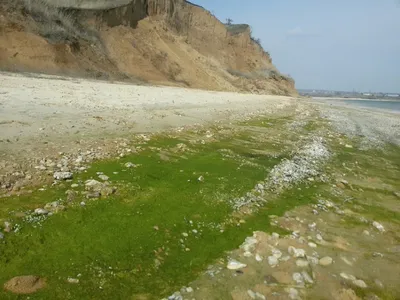 Цимлянское водохранилище спасают от маловодья