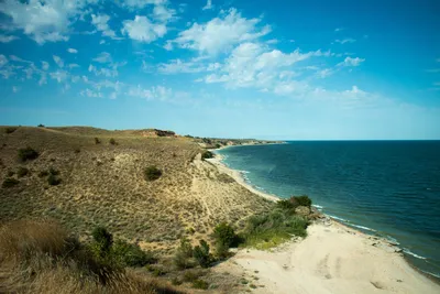 Цимлянское водохранилище — отдых, базы, пляжи, рыбалка, где находится,  глубина, история, фото, как добраться