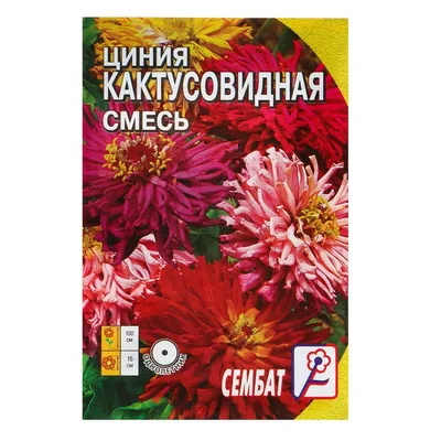 Купить семена: Цинния кактусовая смесь - цены,фото,отзывы |  Green-Club.com.ua