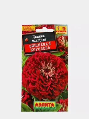 Семена цветов Циния Калифорнийские гиганты смесь окрасок Семена Алтая –  купить в Алматы по цене 90 тенге – интернет-магазин Леруа Мерлен Казахстан