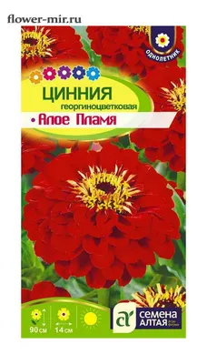 Купить Цинния Энви георгинов. (Семена алтая) с доставкой почтой по России