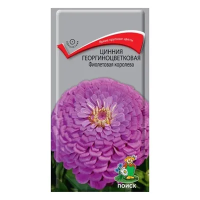 Цинния семена съедобных цветов 5гр.: продажа, цена в Алматы. Семена и  клубни трав и цветов от \"УмныйСад (Smartgarden)\" - 92366780
