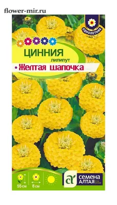Семена Садовита Циния Фиолетовая королева 0.4 г 00222872 - выгодная цена,  отзывы, характеристики, фото - купить в Москве и РФ