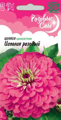 Семена Цинния Калифорнийские великаны, смесь 0,3 г (179-489) купить оптом в  г. по цене 30.00 ₽ - galacentre.ru