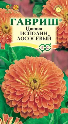 Семена цветов Цинния \"Персидский ковёр\", купить по цене 49 ₽ в  интернет-магазине KazanExpress