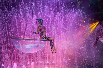 Цирк на воде Шевченко-Шоу в Сочи 2019 • Программа