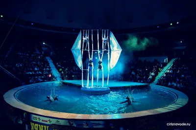 Цирк на воде в г.Казань | Официальный сайт