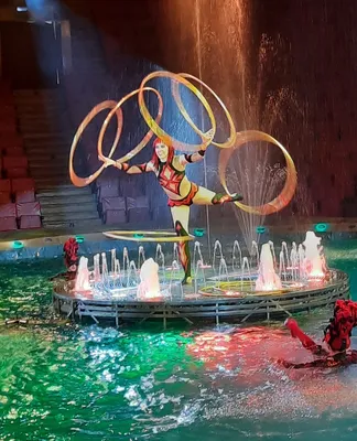 Цирк на воде | Мероприятия Полоцка и Новополоцка на GOROD214.by