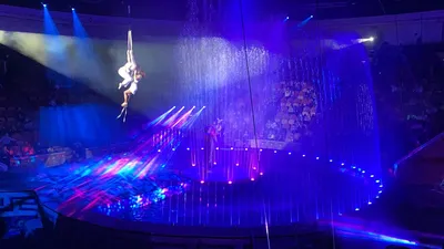 Артисты Московского цирка на воде поблагодарили компанию «СОЦИУМ-КРЕПОСТЬ  ПОВОЛЖЬЕ»