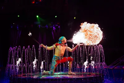 Цирк на воде, отзывы на Спектакль – Афиша-Театры
