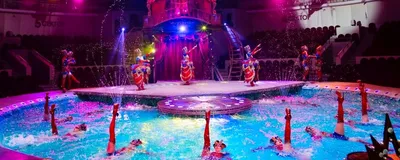 Цирк на воде”: премьерная программа – в Сочи – Концертный зал Фестивальный в  г. Сочи