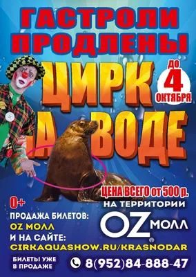 Цирк на воде\", шоу-программа для всей семьи в Одесском цирке, Одесса |  Одесса FamilyWithKids.com