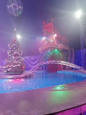 За установкой огромного бассейна для «Цирка на воде» понаблюдал DVHAB.ru  (ФОТО) — Новости Хабаровска