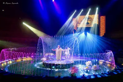 Цирк на воде, площадка Цирк Пенза, билеты на сайте «Афиша Города» октябрь