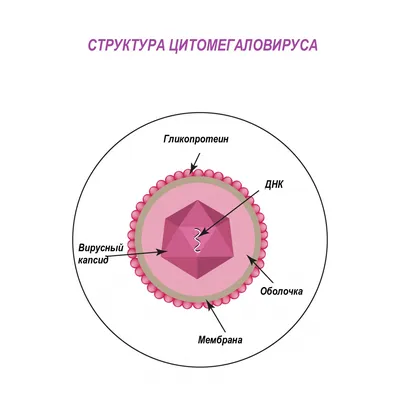 Дерматоскопия — Клиника Семейной медицины — «ДемАрк»