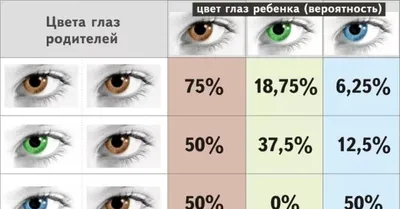 Дневной макияж для карих глаз | ВКонтакте