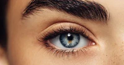 Серо-зеленые глаза: какой цвет волос подходит под них?