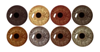 Тени для карих глаз: какие цвета теней подходят для карих глаз с фото