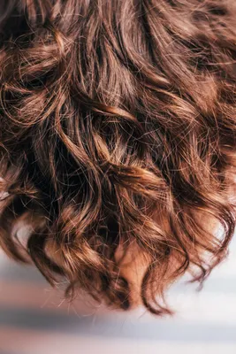 cool Красивый шоколадный цвет волос (50 фото) — Темные и светлые оттенки  Читай больше http://avrorra.com/shokoladnyj-cv… | Каштановый цвет волос, Цвет  волос, Волосы