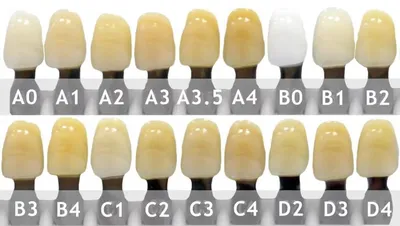 Оригинальная шкала VITA classical A1-D4 купить в АПЕКС