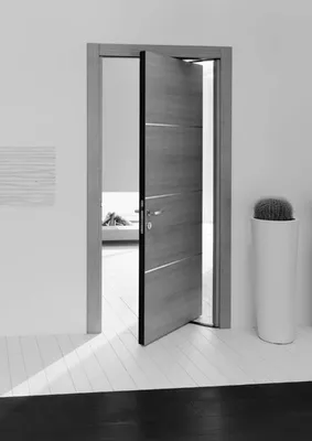 Сочетание: серые двери и серый пол в интерьере | Двери Нева