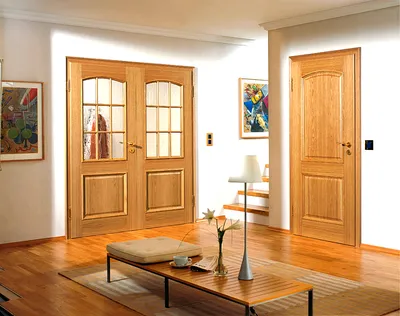 10 причин выбрать межкомнатные двери черного цвета | Блог Rada Doors