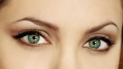 Цвет глаз и характер человека: какая между ними связь в 2023 г | Цвет глаз,  Глаза, Связь