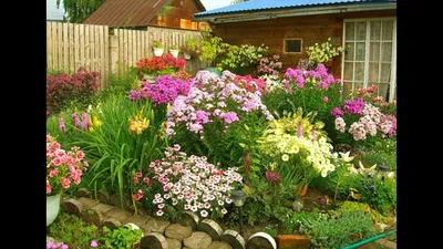 Яркие цветники украсят ваш сад! Красивые идеи для дачника - YouTube