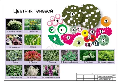 готовые схемы цветников и клумб для начинающих: 10 тыс изображений найдено  в Яндекс.Картинках | Цветник план, Цветник, Клумбы