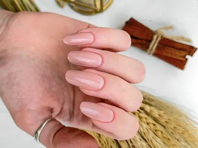 Xnail, Luxury Quality Gel №3 Гель для наращивания ногтей, 50гр – купить  оптом и в розницу по выгодной цене | #XNAIL