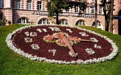 File:Цветочные-часы,-Санкт-Петербург.jpg - Wikipedia