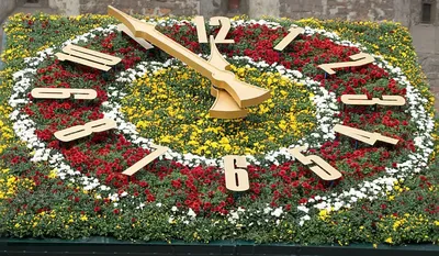 Цветочные часы возле Академической галереи в Пятигорске скоро  «переоденутся» в летнее :: 1777.Ru
