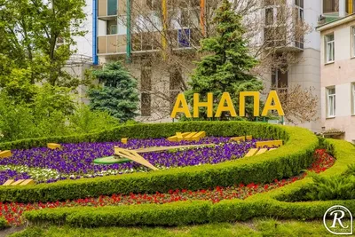 В Краснодаре после реконструкции открыли цветочные часы :: Krd.ru
