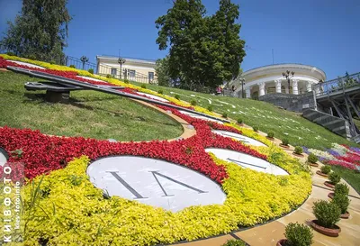 Цветочные часы в Женеве стоковое изображение. изображение насчитывающей  свеже - 164892083