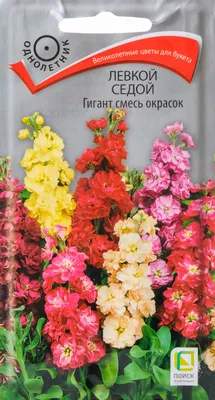 Купить Левкой (искусственные цветы) – в интернет-магазине СВМ
