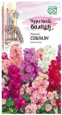 Цветы Левкой Королевская смесь (0,2г) - купить по выгодным ценам в Москве и  с доставкой по России