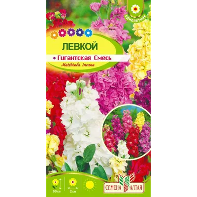 Семена левкой Русский огород Интрига F1 762884 1 уп. - отзывы покупателей  на Мегамаркет