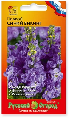 Цветок искусственный Левкой пурпурный 84 см - купить в Пятигорске с  доставкой в интерьерном центре Жемчужина
