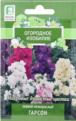 Цветы Левкой Эксельсиор F1 (Гавриш) — купить в городе Новосибирск, цена,  фото — Семена Успеха