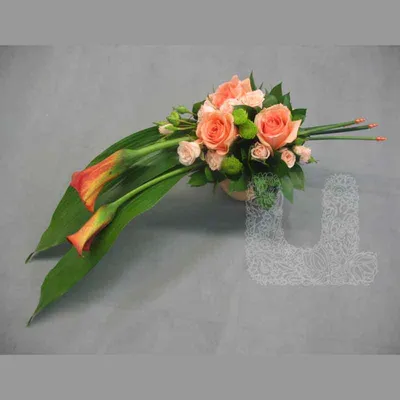 Букет «Птица счастья» из роз - заказать и купить за 27 830 ₽ с доставкой в  Минске - партнер «Цветы 24»