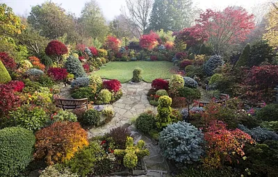 Кустарники, цветущие осенью: ТОП-15 растений для яркого сада | Питомник  Растений №1 Экоплант | Дзен