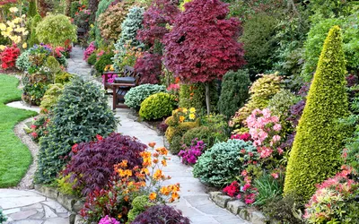 Цветущие кустарники многолетники, зимостойкие, для Подмосковья - фото с  названиями