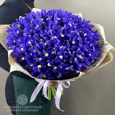 101 бело-фиолетовый ирис в букете за 19 490 руб. | Бесплатная доставка  цветов по Москве