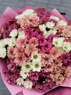 Сборный букет с хризантемой и кустовыми розами купить с доставкой в Москве  | Заказать букет цветов недорого