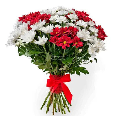 Букет из роз, альстромерий и хризантем – купить с доставкой в Москве