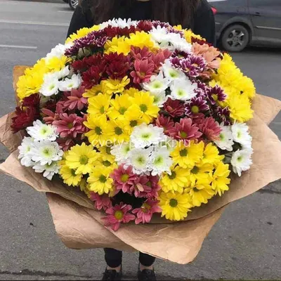 1️⃣ Букет из 21 хризантемы — заказать в Ташкенте от PRO-BUKET!